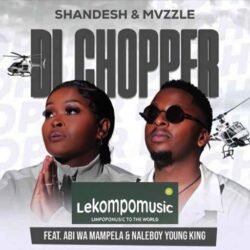 Di Chopper - Shandesh & Mvzzle feat Abi Wa Mampela & Naleboy Young King@lekompomusic.com