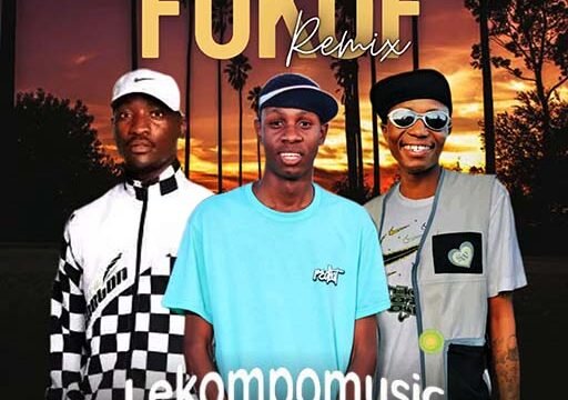 Fokof Remix - Ayee Thabza, Phobla on the Beat & Prince Zulu Ft Slido@lekompomusic.com