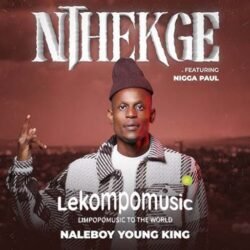 Nthekge - Naleboy young king feat Nigga Paul@lekompomusic.com