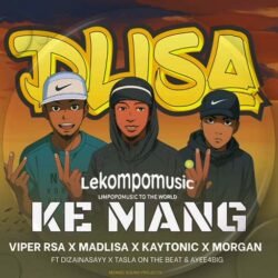 Dlisa Kemang - Viper rsa & Madlisa,kaytonic,mogan Ft Dizainsayy,tasla on the beat & Ayee4big@lekompomusic.com