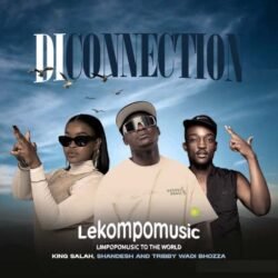 Di Connection - King Salah,Shandesh & Tribby Wadi Bhozza@lekompomusic.com
