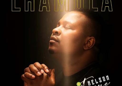 Lhamula - Nelson Tivane Ft Makhadzi@lekompomusic.com