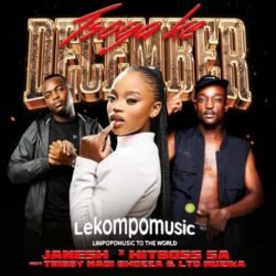 Tsoga ke December - Janesh & Hitboss SA feat Tribby Wadi Bhozza & LTD Muzika@lekompomusic.com