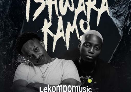 Tshwara Kamo - Poobington & 2Break4, Mangee Beats Ft BestMind@lekompomusic.com