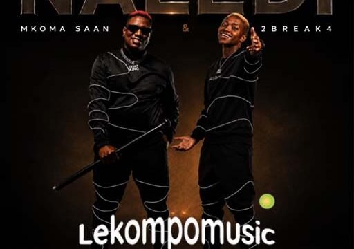 Naledi - Mkoma Saan & 2Break4