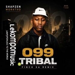 Shapzen Moratho (099 Tribal Remix) - Finch SA